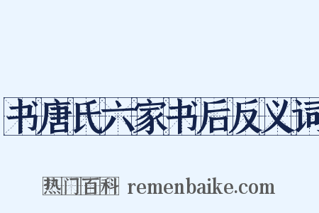 书唐氏六家书后反义词是什么意思的图片
